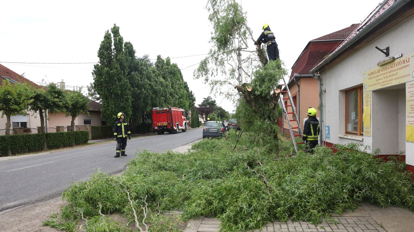 Viharkárok Somogyban: villanyvezetékre szakadt a fa Kaposváron