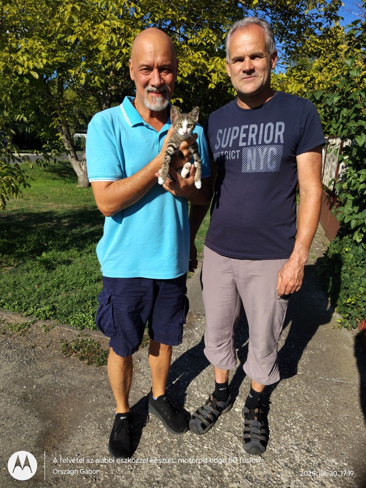 Szőke Zoltán, cica, Balaton, Országh Gábor