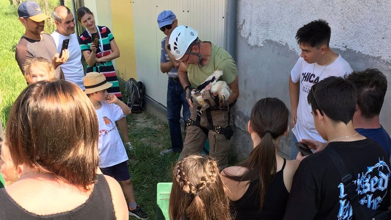 Toponárra várják a segítséget a két bajba jutott gólyának