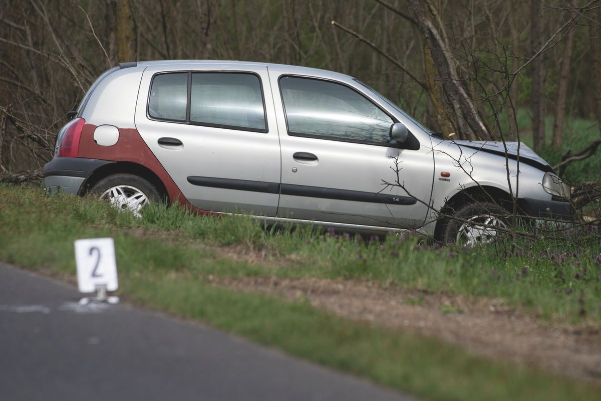 CM20250417_Vadgázolás_HAON (14)