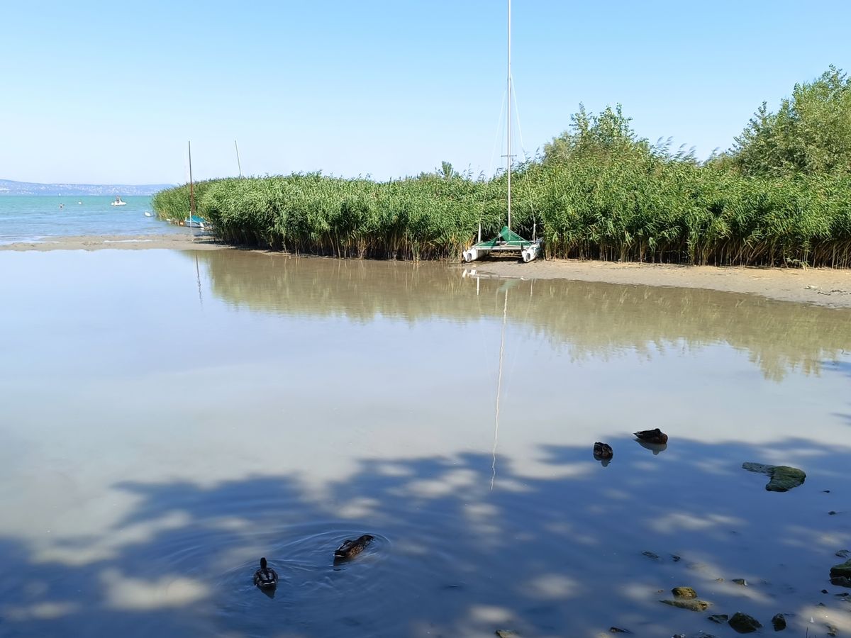 Iszapba ragadt vitorlások 