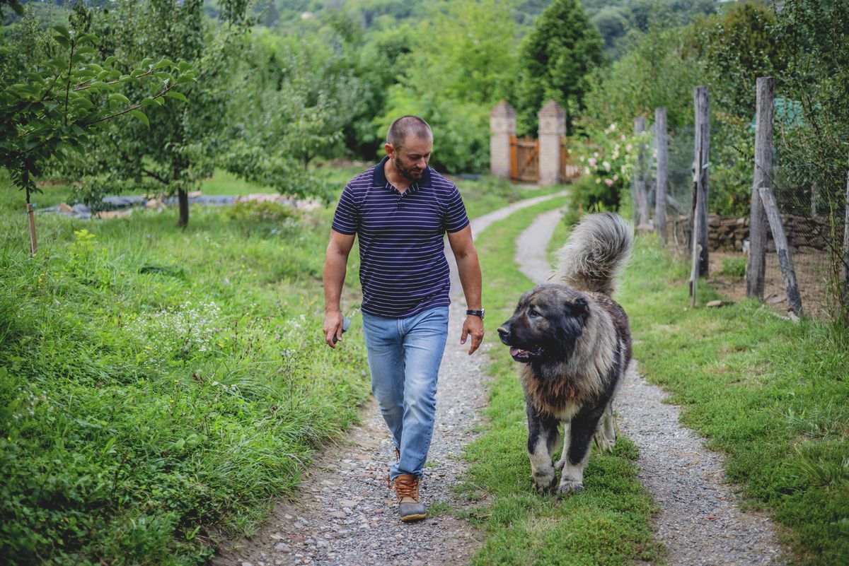 A zártkerti ingatlanokra vonatkozó szabályozás változása nem biztosít építési jogot.