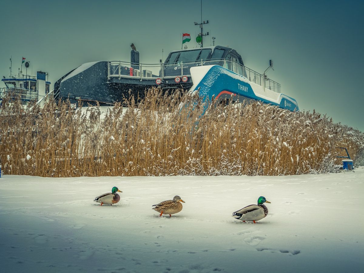 A balatoni kompok télen is járnak