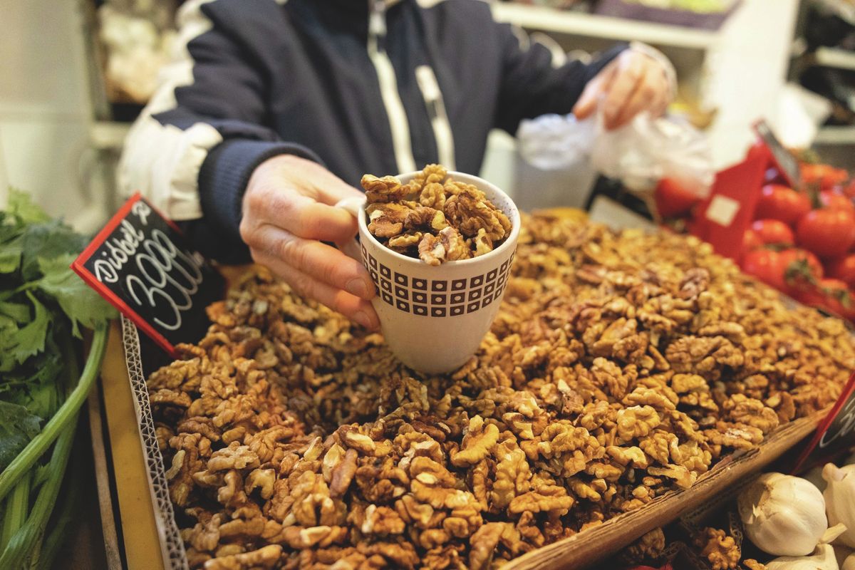 Friss diótermés a somogyi ültetvényen