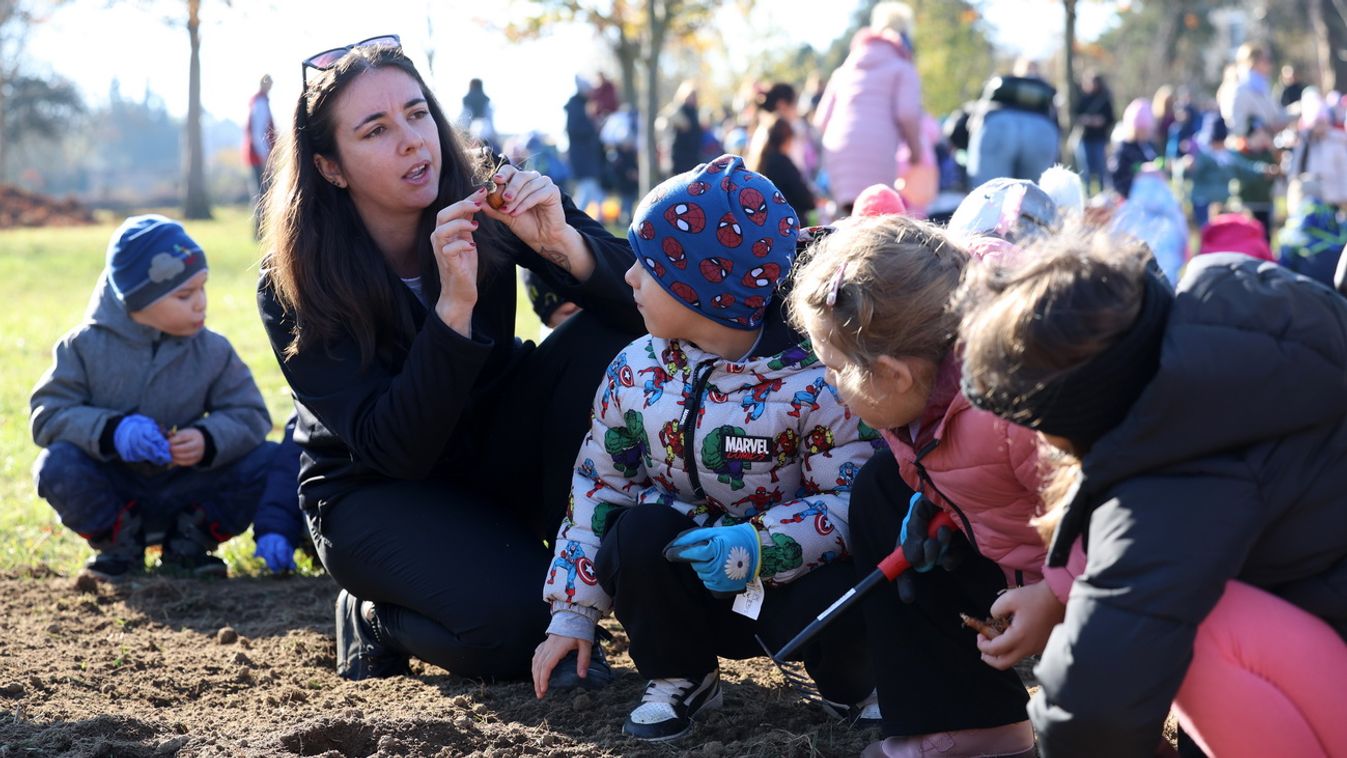 Ötezer nárciszt ültettek a kaposvári óvodások a Rippl-Rónai Villánál