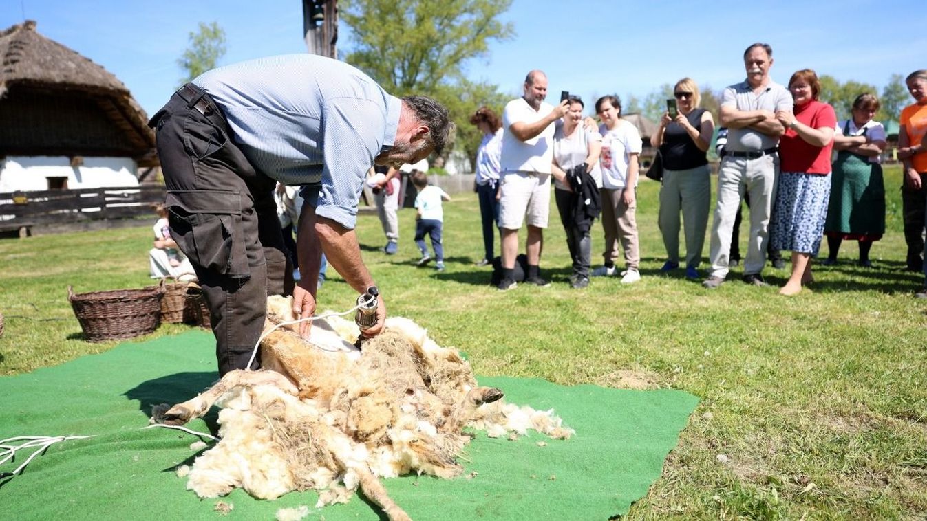 Sokan nézték, mégis némán tűrték a fazonigazítást… – régen gyűjtötték az...