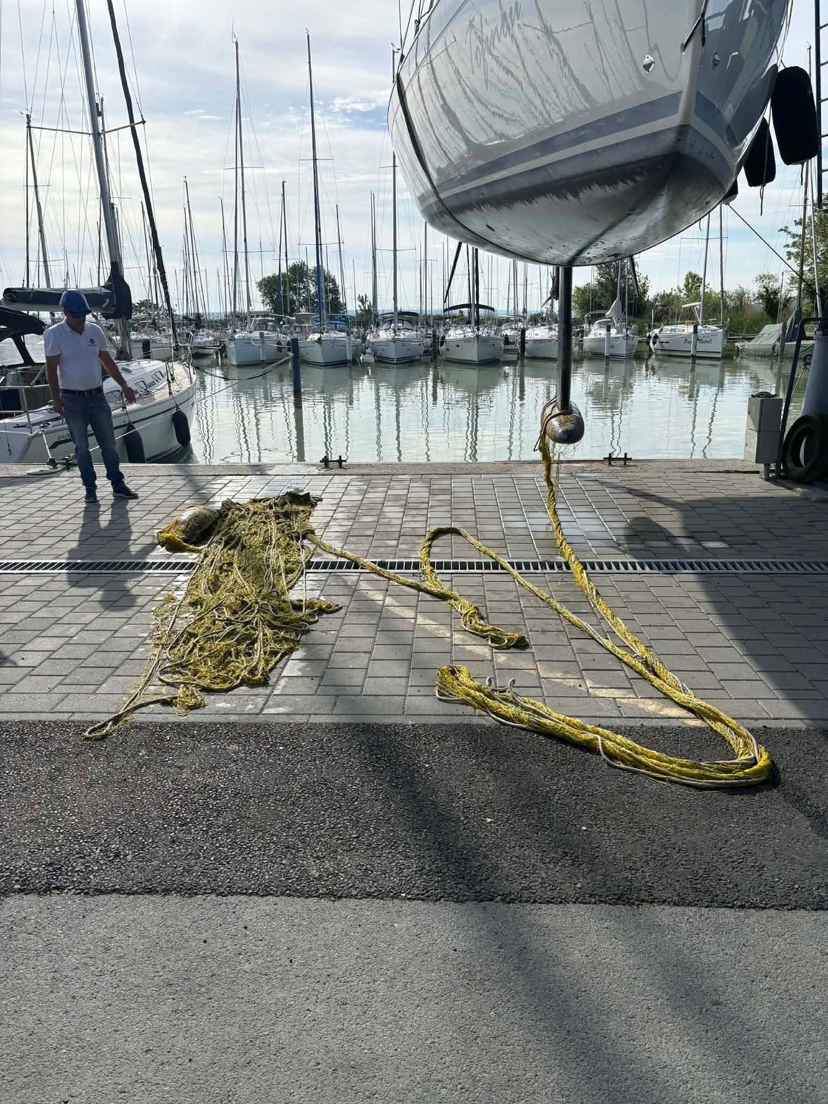 A sokat látott vízimentők se gondolták, mire képes egy méretes ponty és ...