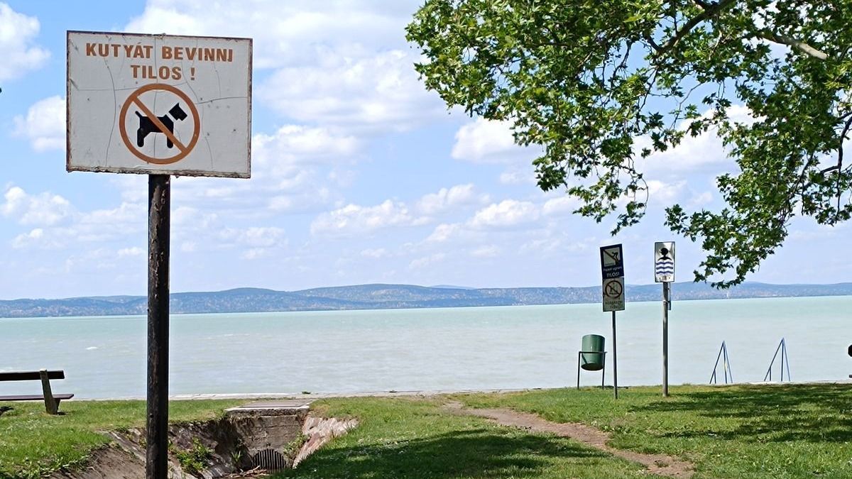 Sokkoló igazság a kutyás tiltótáblákról: kamu KRESZ-jelzések alapján büntetnek?