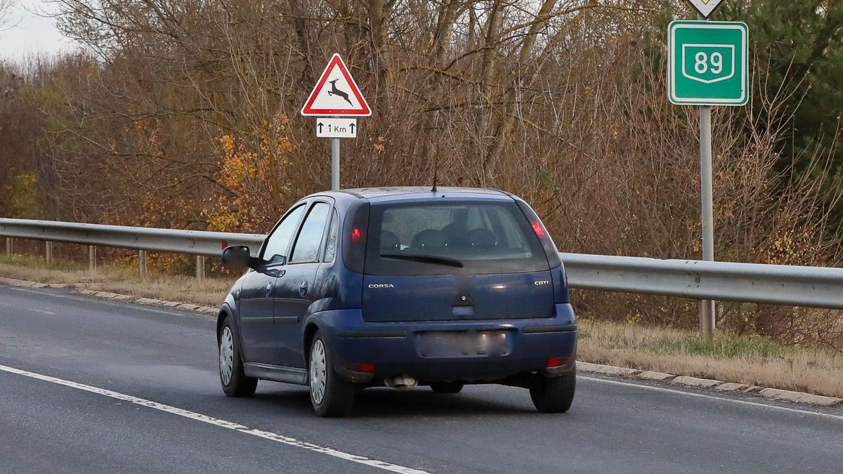 A somogyi utakon bármikor találkozhatunk őzekkel, nem árt az óvatosság