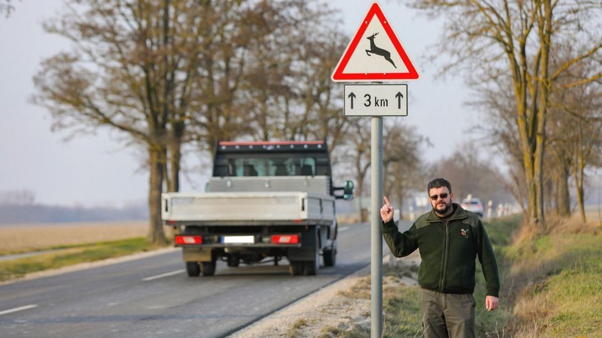 Itt figyelj nagyon: térképre tették a balatoni vadbaleseteket