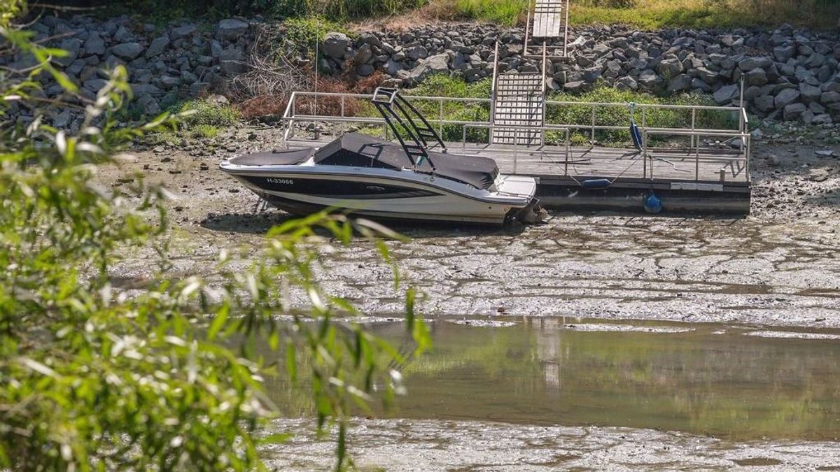 Szörnyű, mit művelt a csapadékhiány a folyó mellékágán – aggasztó videó jelent meg a világhálón