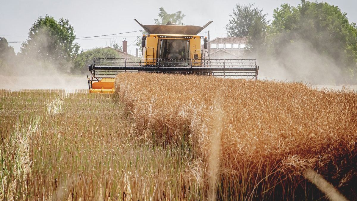 Csökkentek az agrárberuházások, Somogy élelmiszeripara is visszaesett