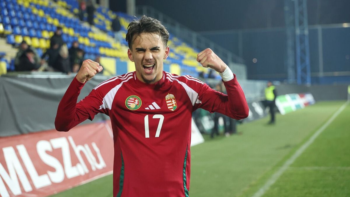 Az NB I-ben is bemutatkozott játékossal erősített a BFC Siófok