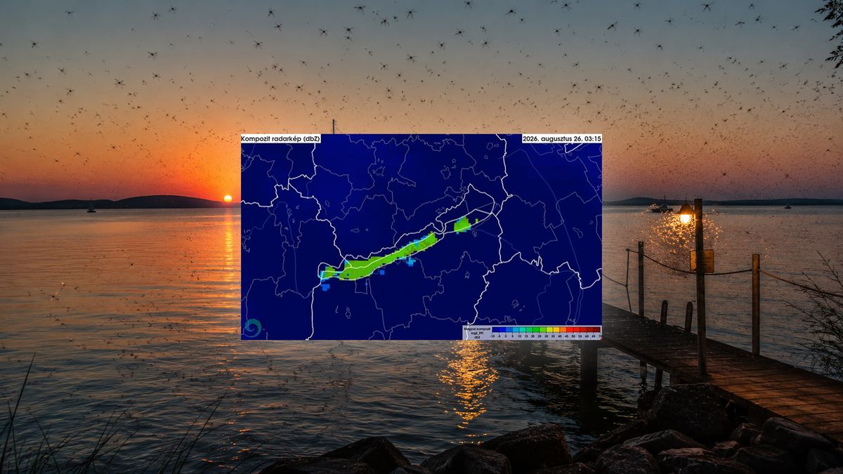 Invázióra felkészülni: eltakarták az árvaszúnyogok a Balaton a radarfelvételen