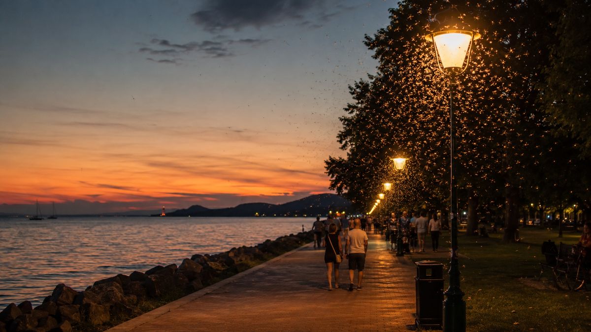 Zöld invázió a Balatonnál: kitart az árvaszúnyog-rajzás