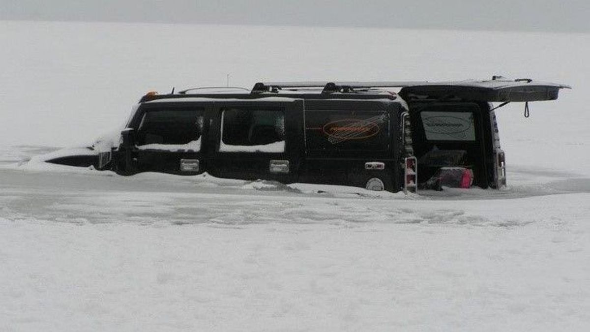Elefánt, traktor, Hummer, cápa: elképesztő, mit nem láttak eddig a Balatonban