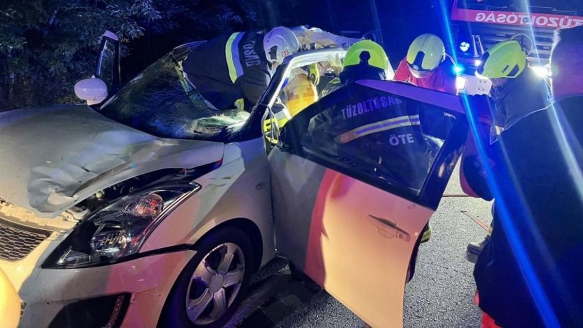 Szarvas ugrott az autó elé, a sofőr ki kellett vágni az autóból Lengyeltótinál