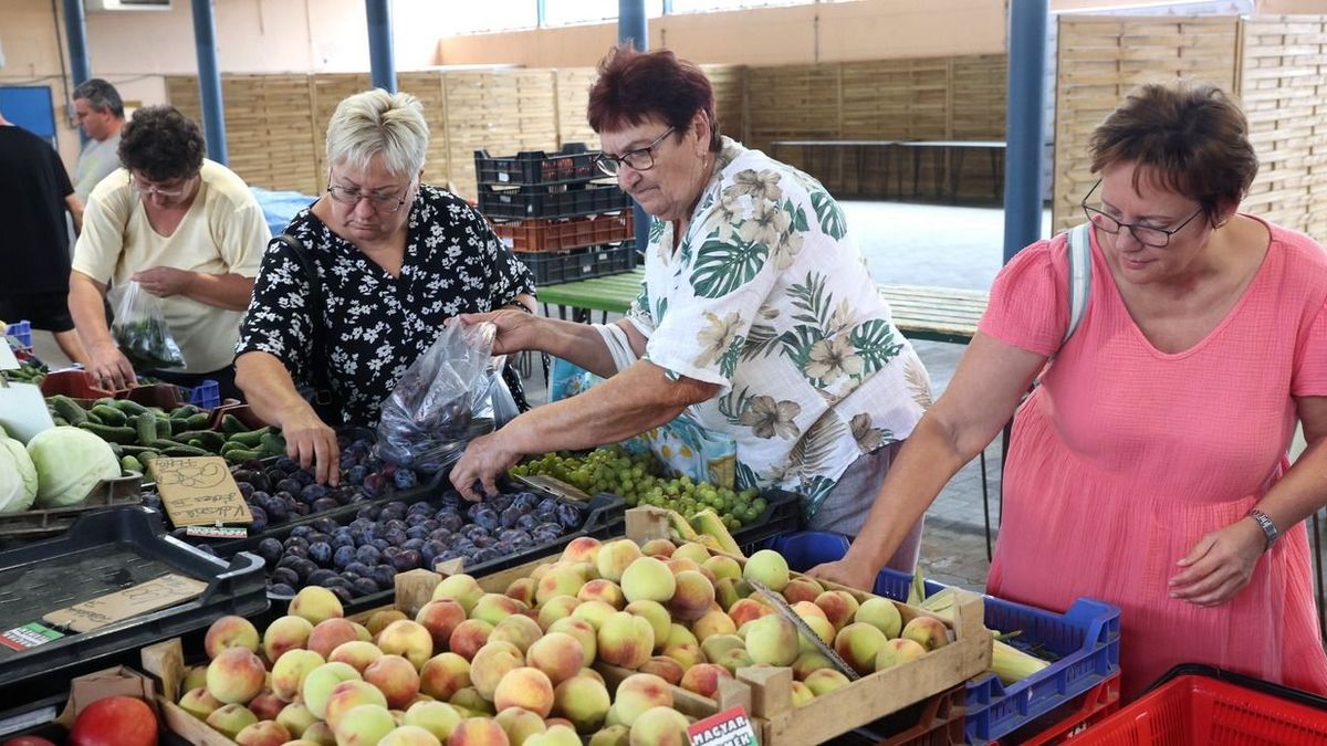 Rendhagyó piaci körkép: szerdán néztük meg, mi újság a Kaposvári Nagypiacon