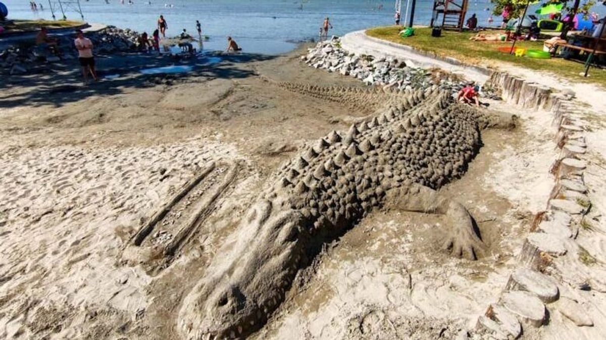 Hihetetlen! Egy krokodil sütkérezik a balatonfenyvesi strandon