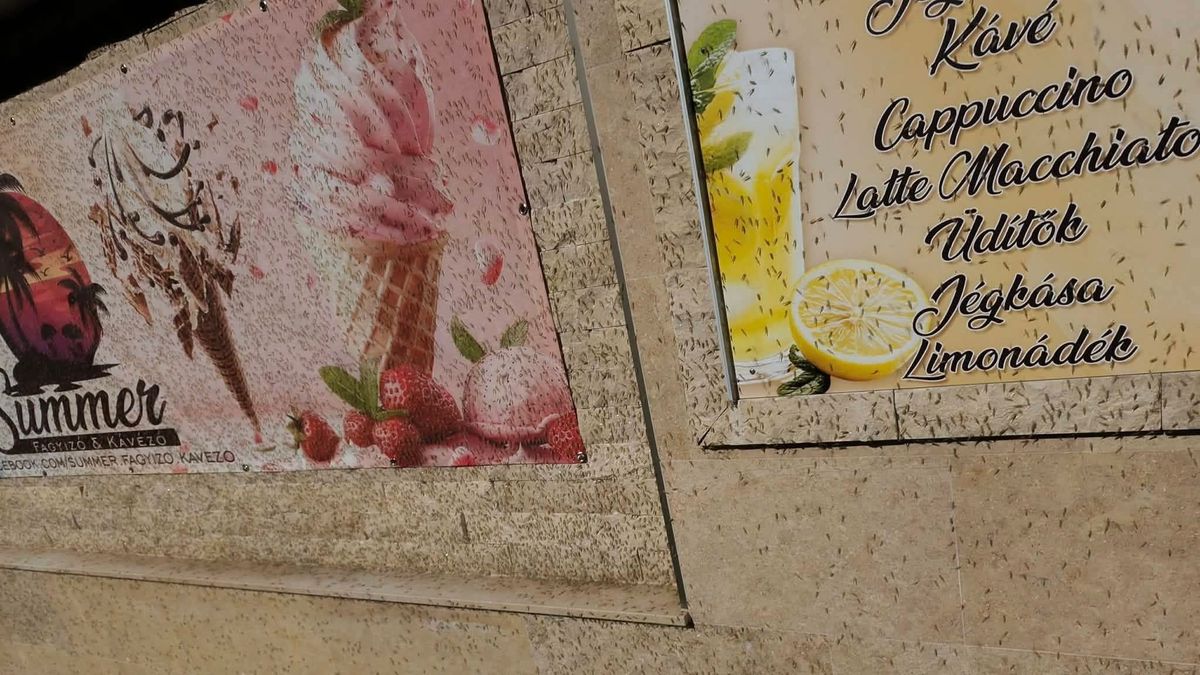 Olyan durva az árvaszúnyoginvázió, hogy korábbi zárásra kényszerült ez a balatoni fagyizó