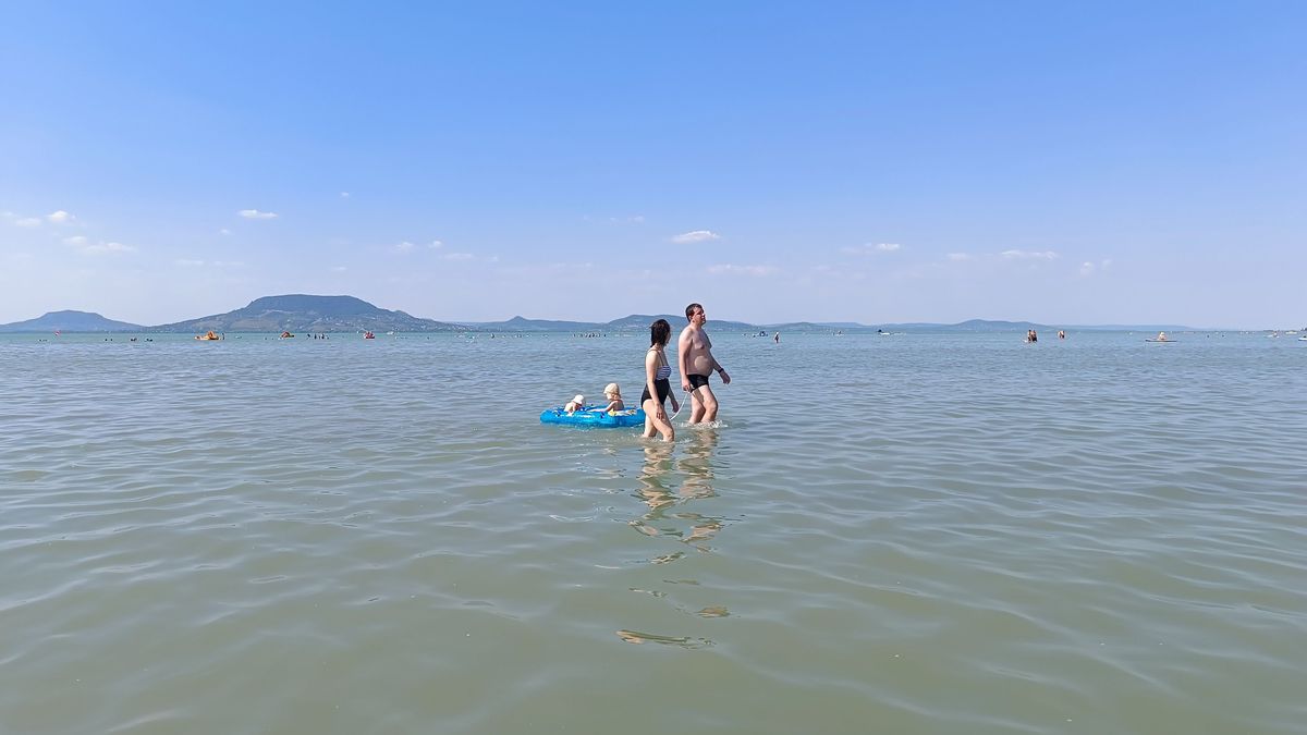 Déli part: hat homokpad bukkant elő Balatonfenyvesen a sekély vízben
