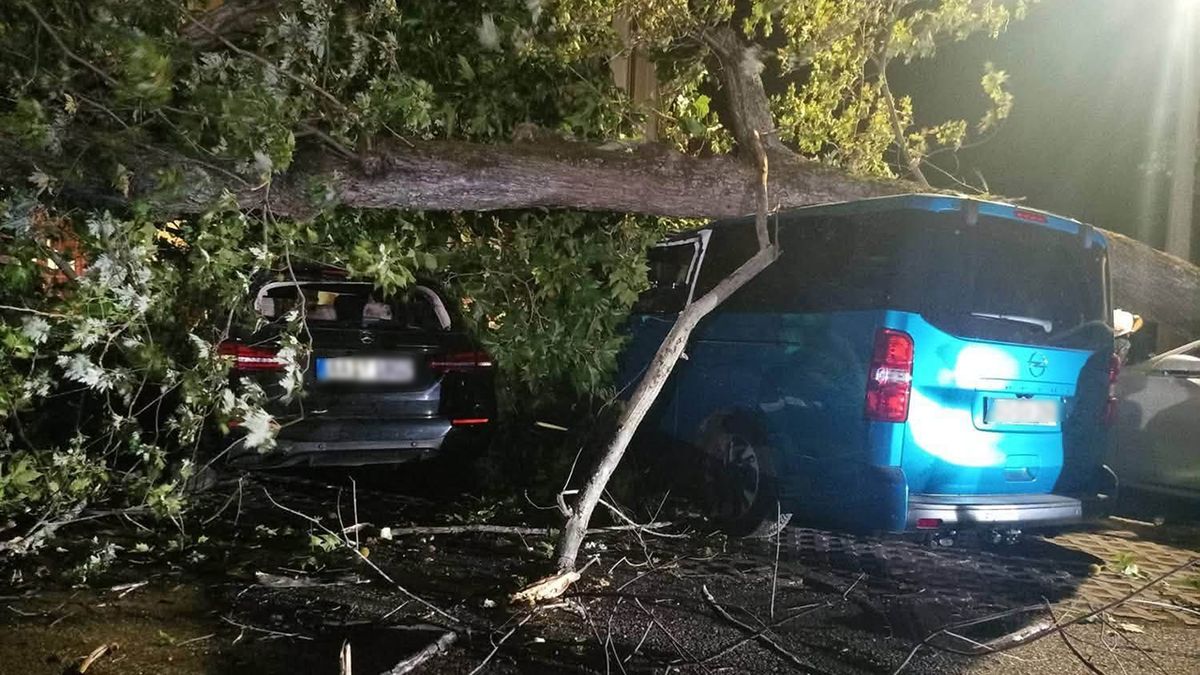 Hatalmas faág zuhant a parkoló autók közé Siófokon