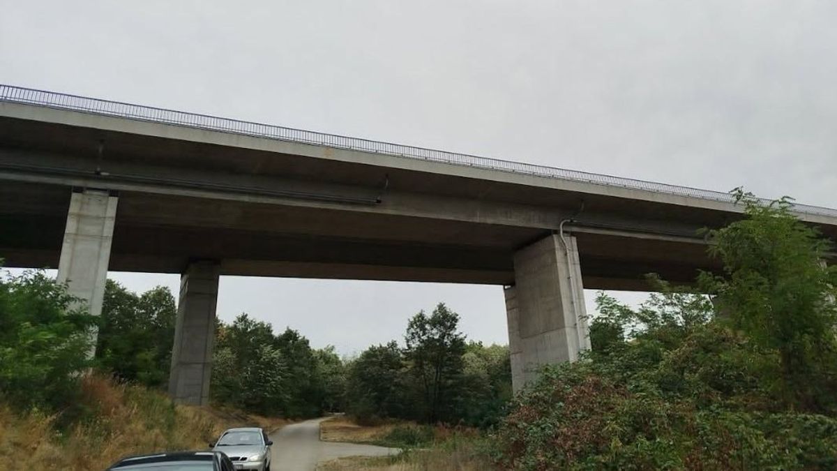 Medencék a vadaknak, a vizet kedvelő állatoknak - mire lehet jó az utakról lefolyó csapadék Somogyban?
