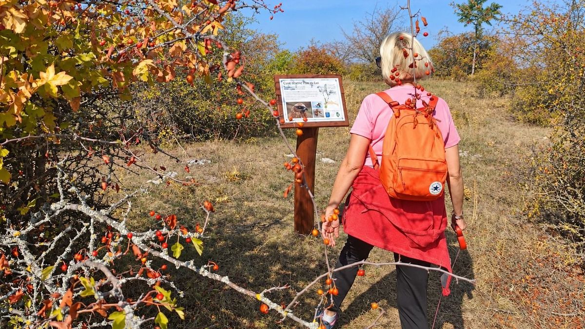 Tó, balatoni panoráma és különleges élővilág: újra várja a kirándulókat a tanösvény