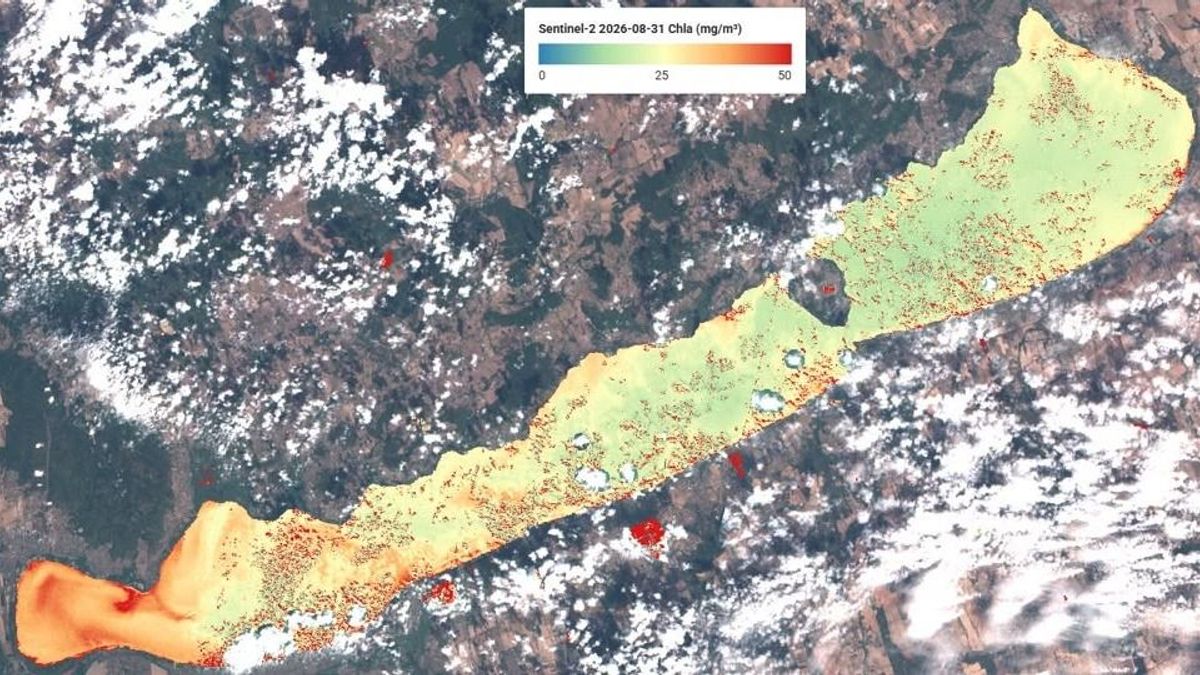 Fellélegezhet a Balaton: megtorpant a nyár végi algásodás