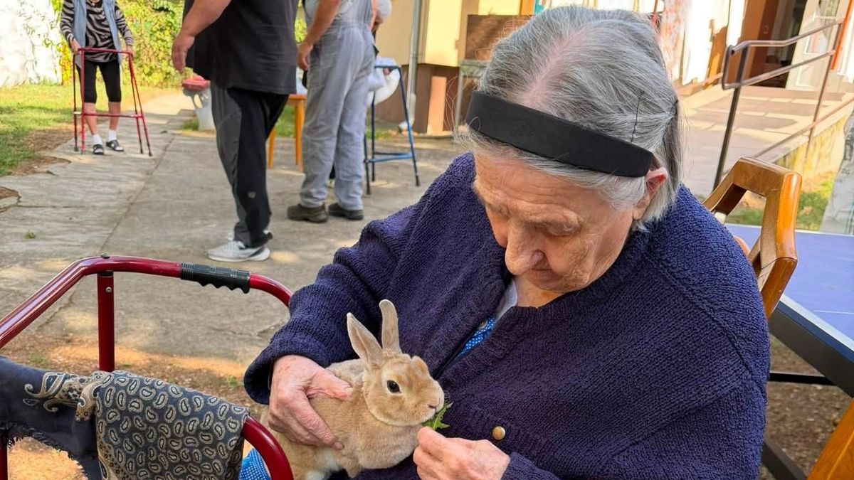 Napi Cuki: a Péter Parasztudvar lakói elvarázsolták az idősek szívét