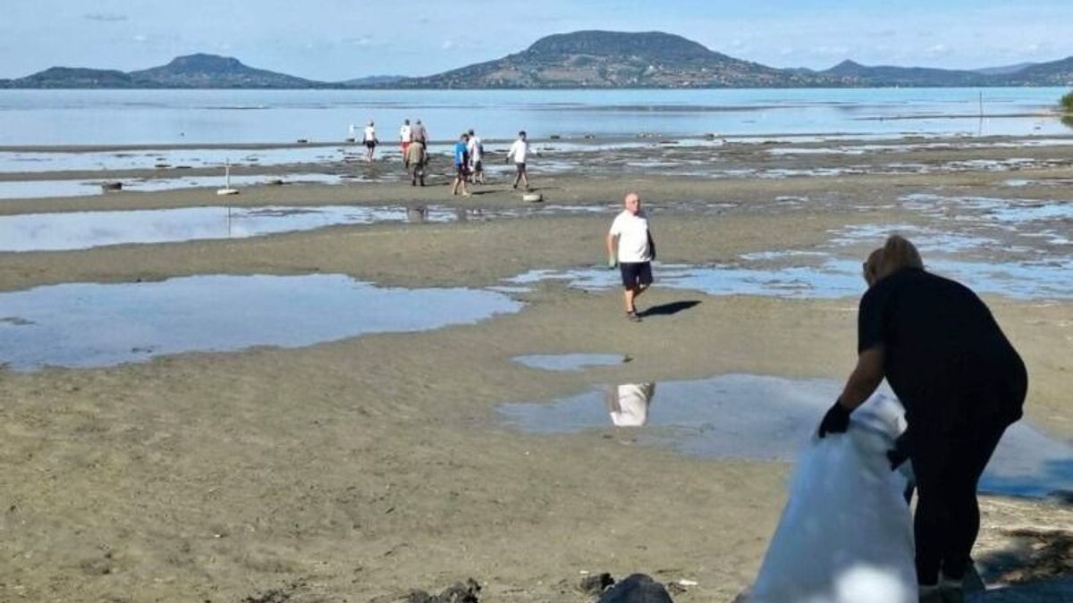 Strandtakarítás Fenyvesen: eltávolították a Balaton medréből a veszélyes köveket