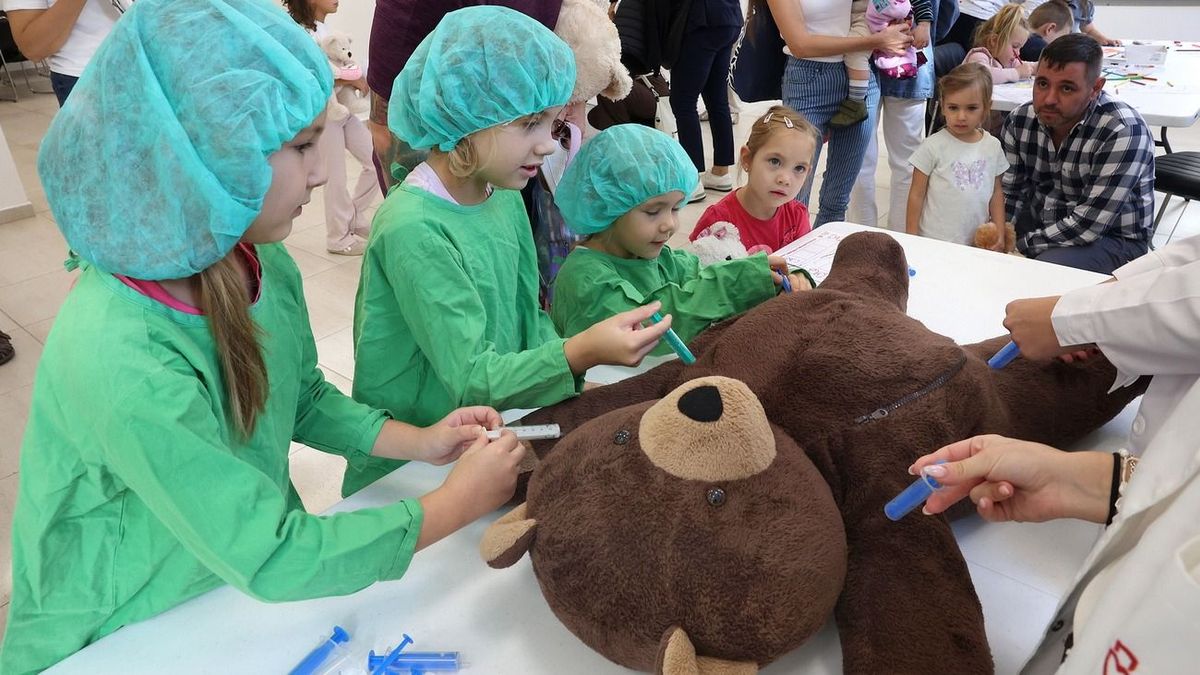 Bátor gyerekek műtöttek meg egy macit Kaposváron – az operáció sikerült
