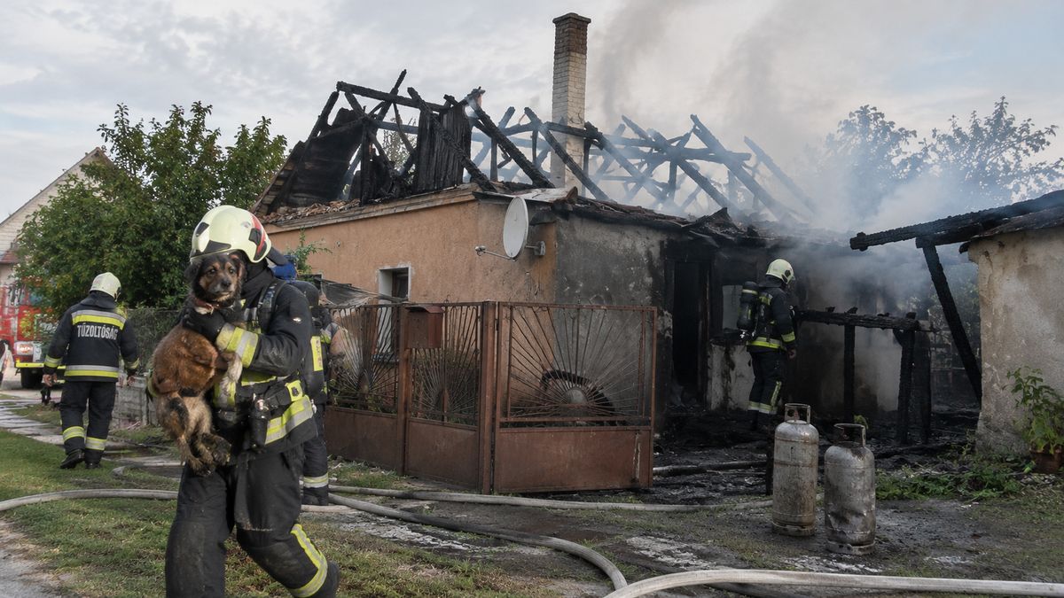 Kimentették a kutyát a tűzből, pillanatok alatt lángokba borult a ház