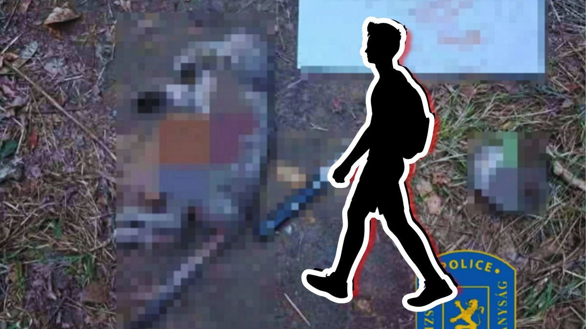Brutális állatmészárlás Oroszlányban– mi áll a megrázó tett hátterében?