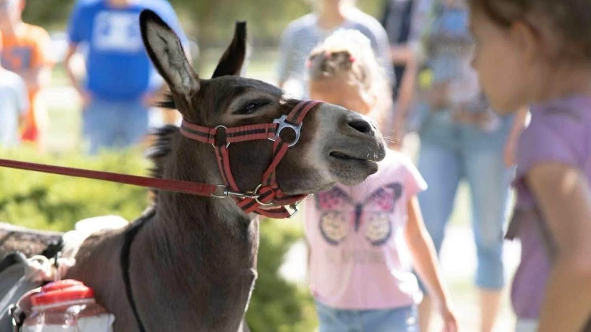 A szeretet nem ismer határt... – rengetegen fogadták Bettinát és Fokit Siófokon