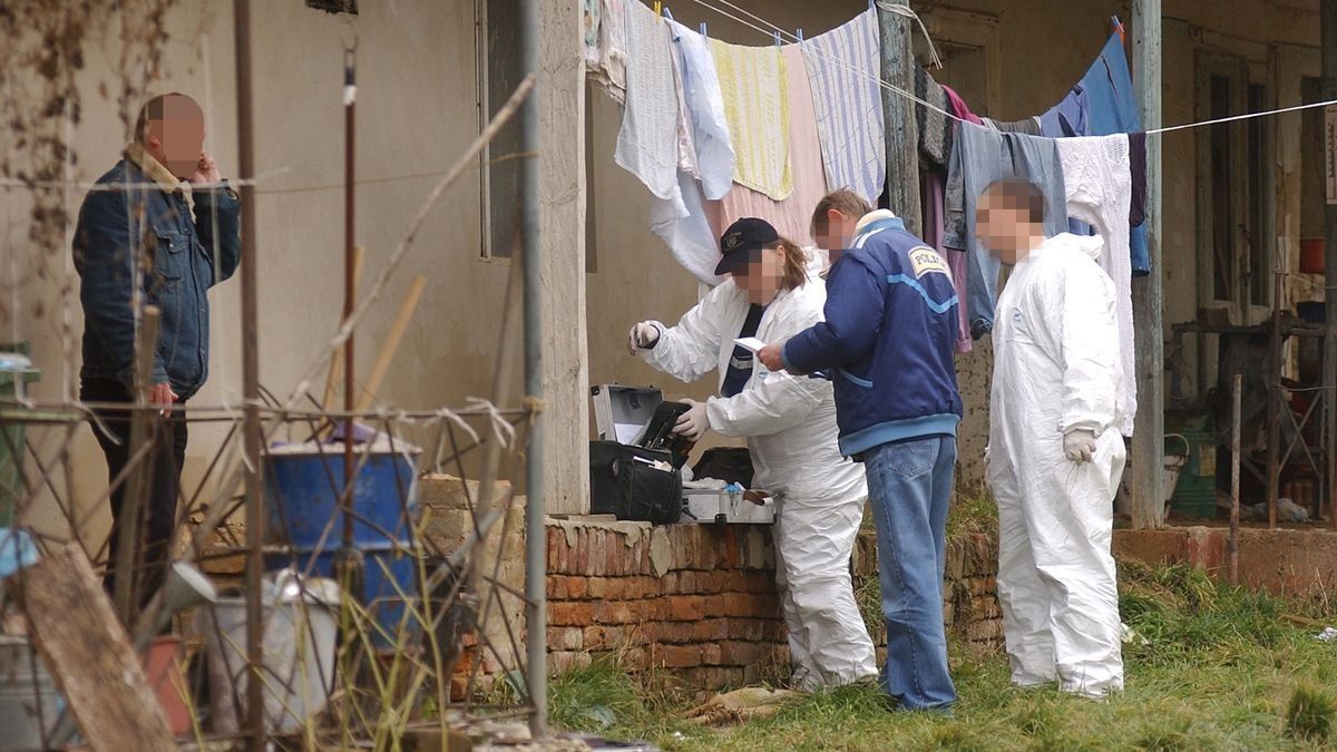 Horror Gadácson: két traktorért gyilkolták meg az éjjeliőrt felfoghatatlan kegyetlenségek között