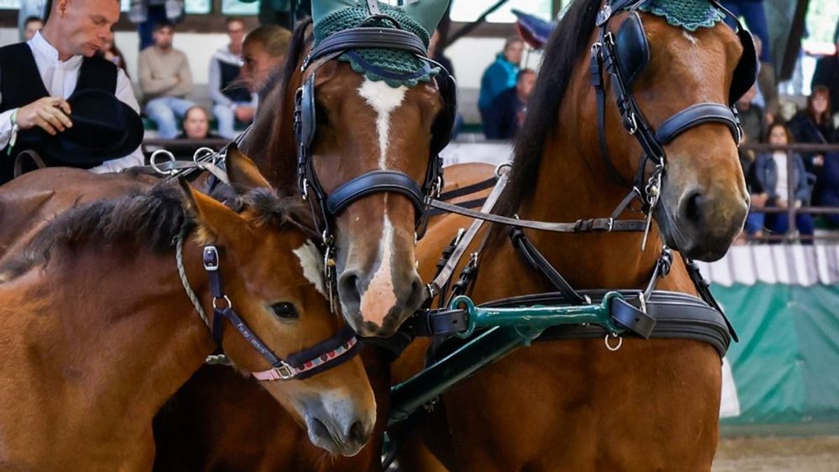 KÁN Egyetemi Napok 2026 – Élő hagyományok és modern megoldások találkozása