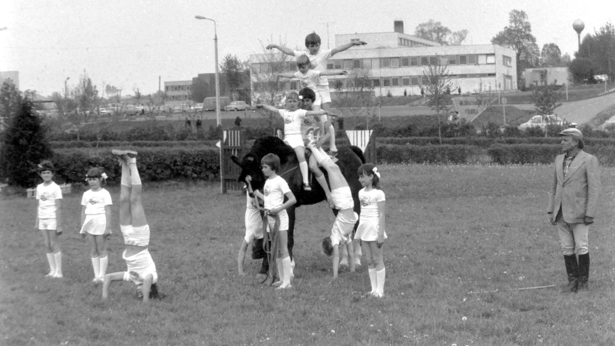 Lovasbemutató és díjugratás Kaposváron – így zajlott a lovasnap az 1980-as években – GALÉRIA