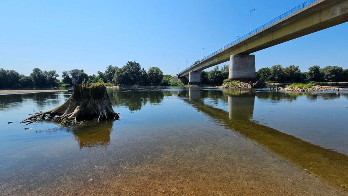 Veszélyes tuskók ágaskodnak ki a Drávából: a búvárok és lánctalpasok is elbuktak, már a robbantás is felmerült